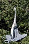 Heron_cendre_LeTeich_Parc_Ornithologique_Septembre2006_JN63382